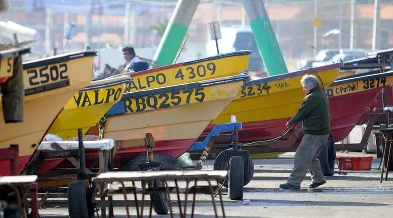 24272 plataforma social.webp