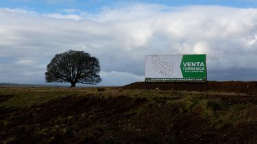 Fin al boom de loteos que generan daños en suelos rurales: Solicitudes caen a la mitad en dos años
