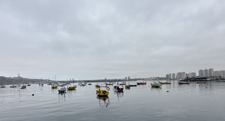 Bahía La Herradura en Coquimbo. Sernapesca.&nbsp;