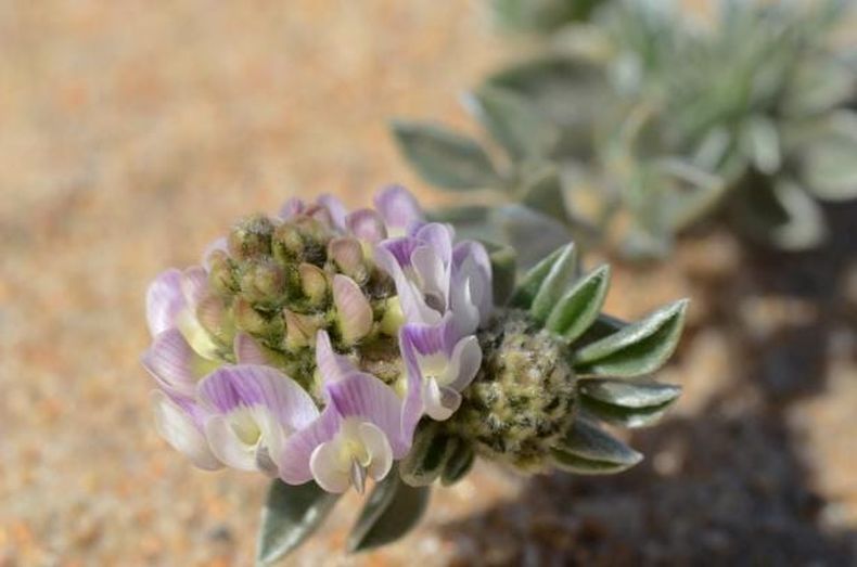 WhatsApp Image 2024 02 21 at 15.55.35.jpeg