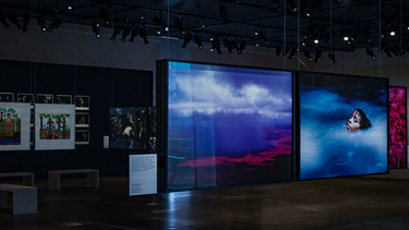El Desconcierto | Exposicion Yanomami_Nueva York_Flavia Milhorance 1440x720 1 e1676205280193.png