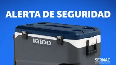 El Desconcierto | 11769 diseno sin titulo 2025 02 18t211717.webp