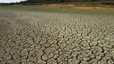 Crisis climática y sequía afectan al mundo - Agencia Uno