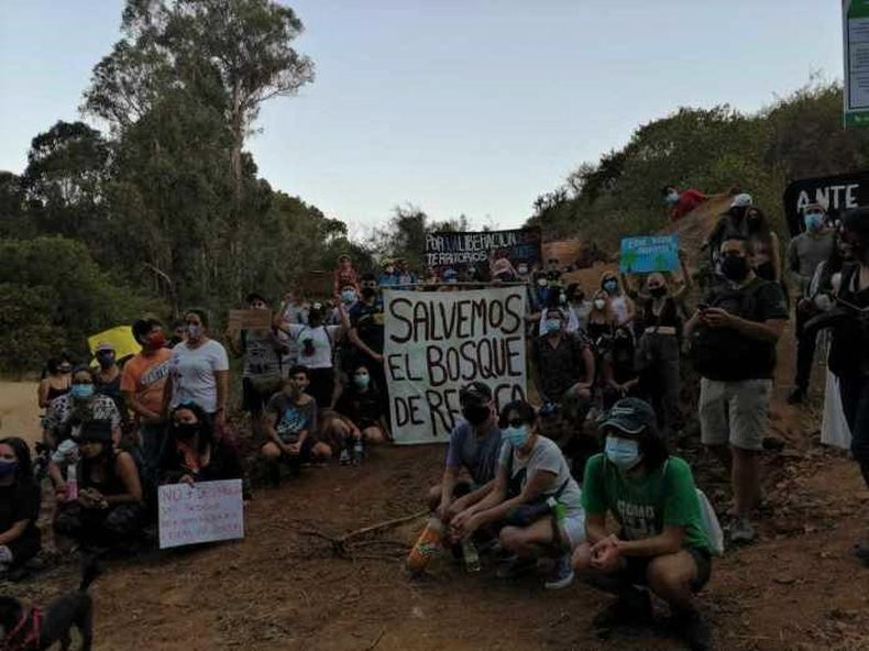 salvemos bosque renaca.jpg