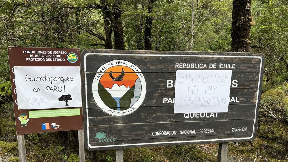 Temporada de nieve en peligro por paro de Conaf y cierre de parques: Reclaman por eliminación del área de fiscalización