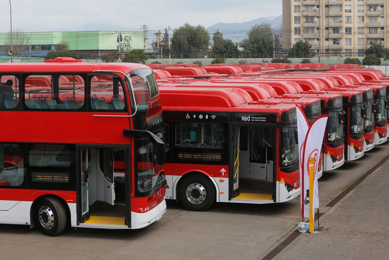 Buses RED.jpg