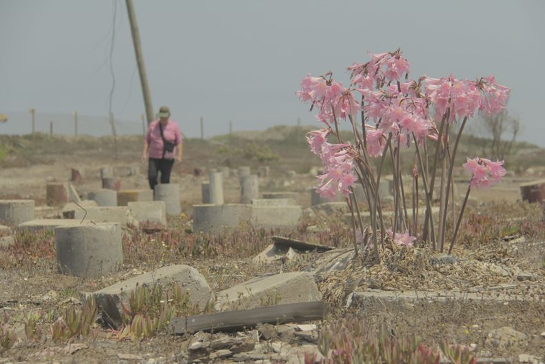 MG_1219 scaled 1.jpg