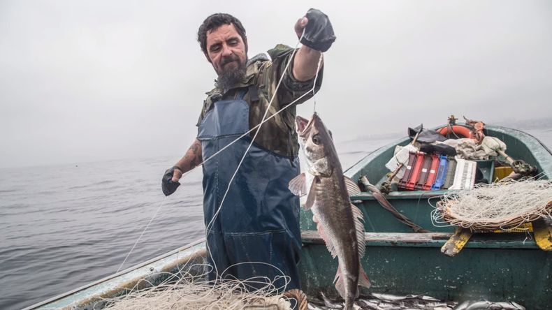 pescador valparais.jpg