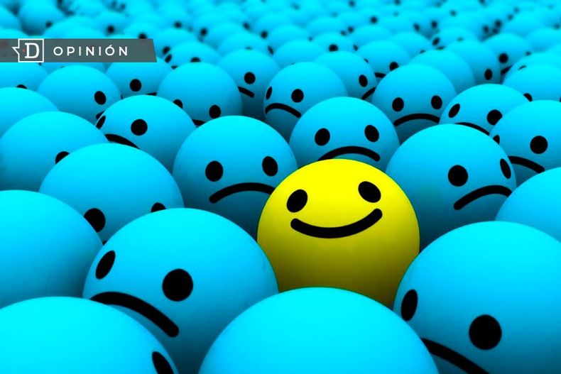 WhatsApp Image 2023 02 02 at 17.13.12.jpeg