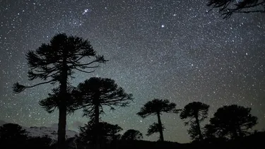 El paso de gallina del sol mapuche: Libro gratuito describe la astronomía detrás del We Tripantu