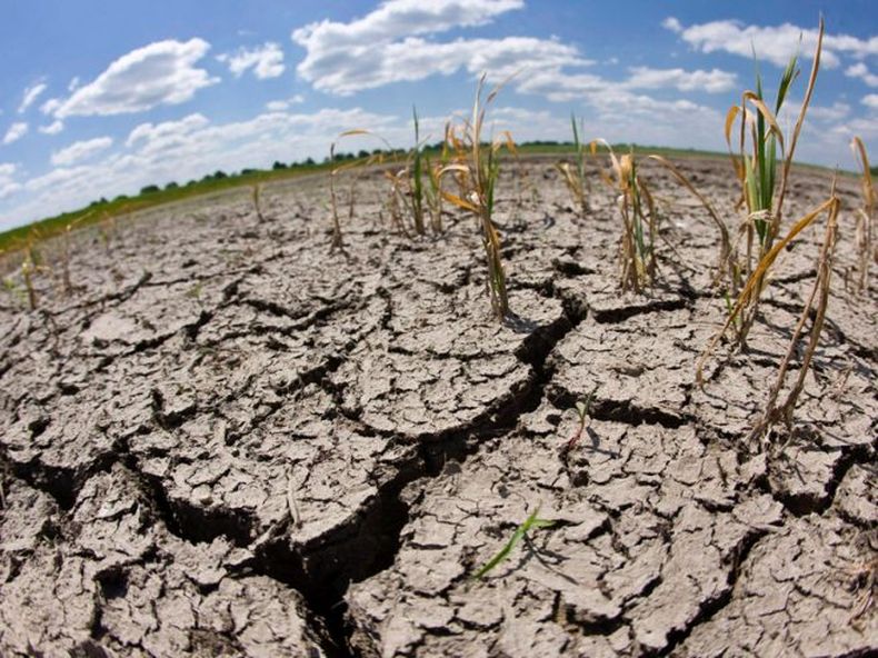 africa e1636468609107.jpg