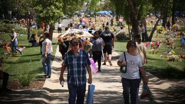 Cementerios capitalinos piden paciencia este 1 de noviembre: Esperan 200 mil deudos