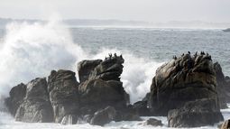 Japón da por superada la emergencia y baja la alerta de tsunami tras fuerte terremoto en Rusia