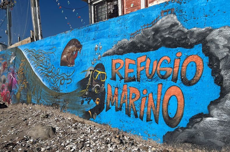 22840 refugio marino maitencillo graffiti fermin koop img 6324.jpg