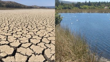Rodrigo Mundaca por sequía en Reserva Nacional Laguna Torca: La situación hídrica del país es bastante dantesca