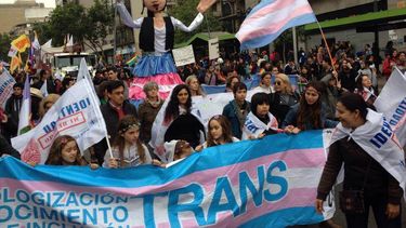 El Desconcierto | la trans kris.jpg