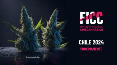Para derribar prejuicios sobre diversos usos llega a Chile Festival de Cine Cannábico