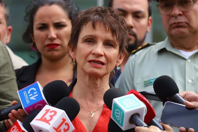 Toha confirma presentacion de proyecto sobre reglas de uso de la fuerza para policias.jpg