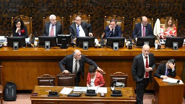 Policías dependerán de esta cartera: Senado aprueba creación de Ministerio de Seguridad