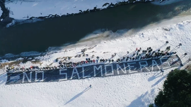 El Desconcierto | CP Ley Salmoneras Tierra del Fuego_.png