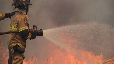 El Desconcierto | Bomberos combatiendo el fuego en incendio forestal.jpeg