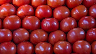 El costo de la vida sube otra vez: IPC de abril se elevó al 0,2% por culpa del alto precio del tomate