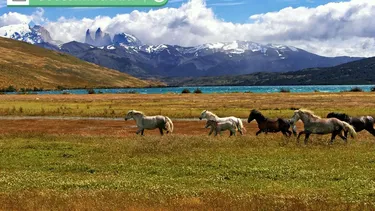 Vacaciones de invierno 2025: ¿Harás turismo de consumo o prefieres viajar para conectarte con la naturaleza?