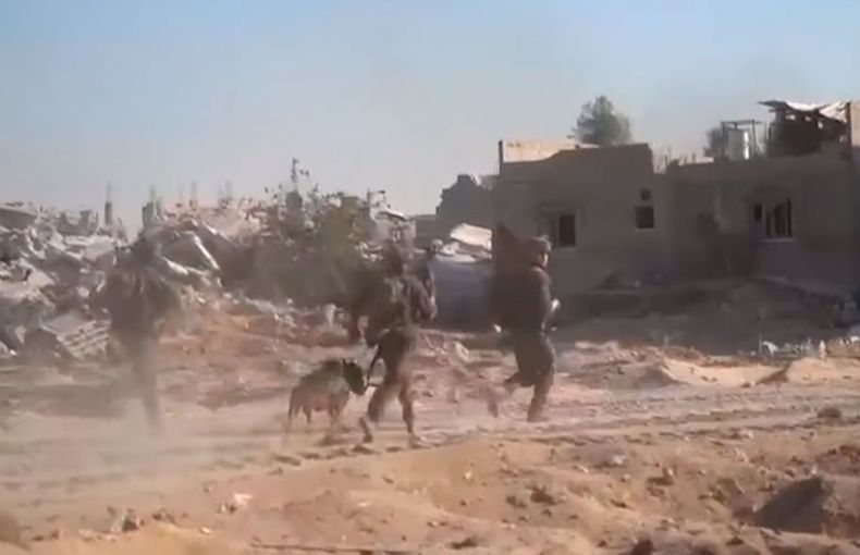 2224 gaza 1722174460.jpg