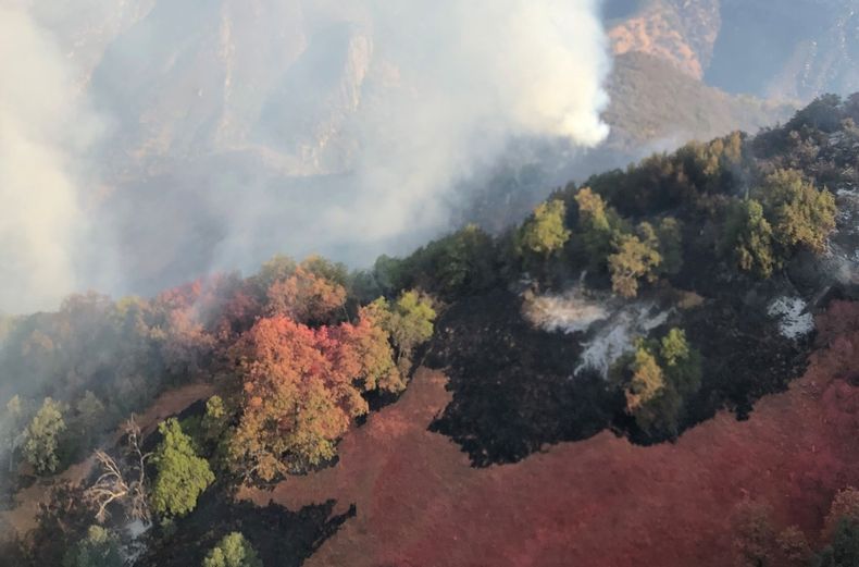 Incendio parque.jpg