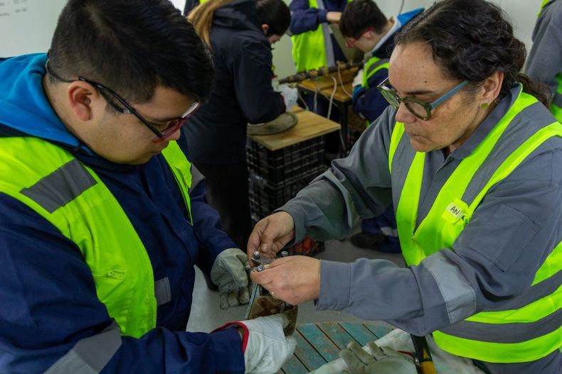 VerdeSur gestiona residuos y trabaja con escuelas, comunidades y empresas para fomentar el reciclaje y la economía circular en la Región de Los Lagos.