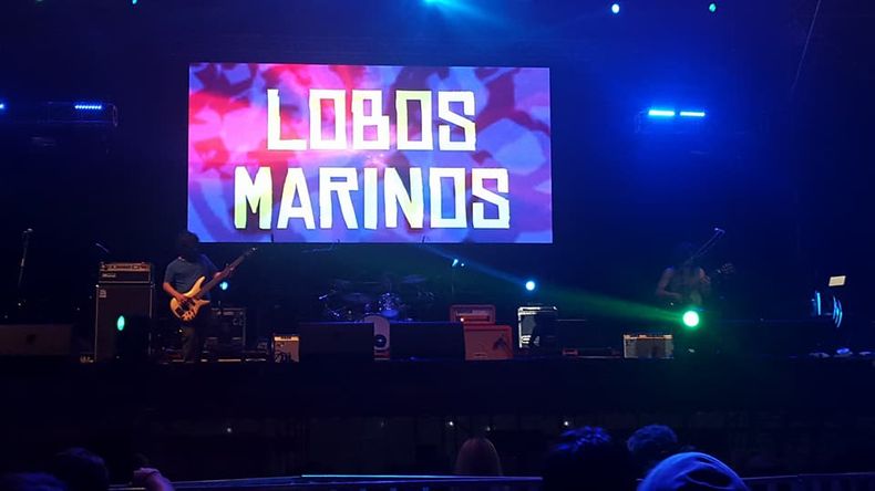 LOBOS 1.jpg