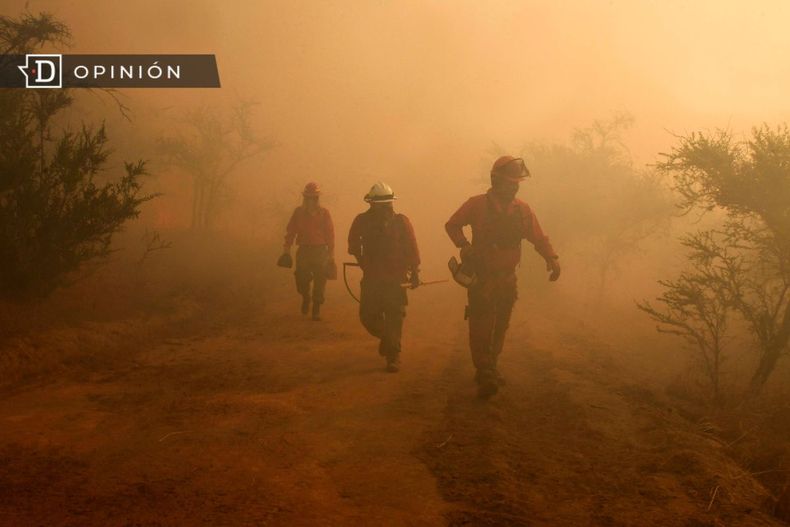 6087 imagen de personal de la conaf trabajando en un incencio.jpg