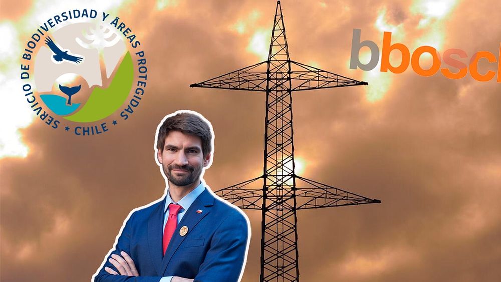 Tomás Saratcheff, director nacional del Servicio de Biodiversidad y Áreas Protegidas&nbsp;