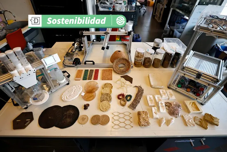 19524 diseno sin titulo 12.webp