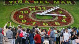 Caída de árbol destruyó el tradicional reloj de flores de Viña del Mar