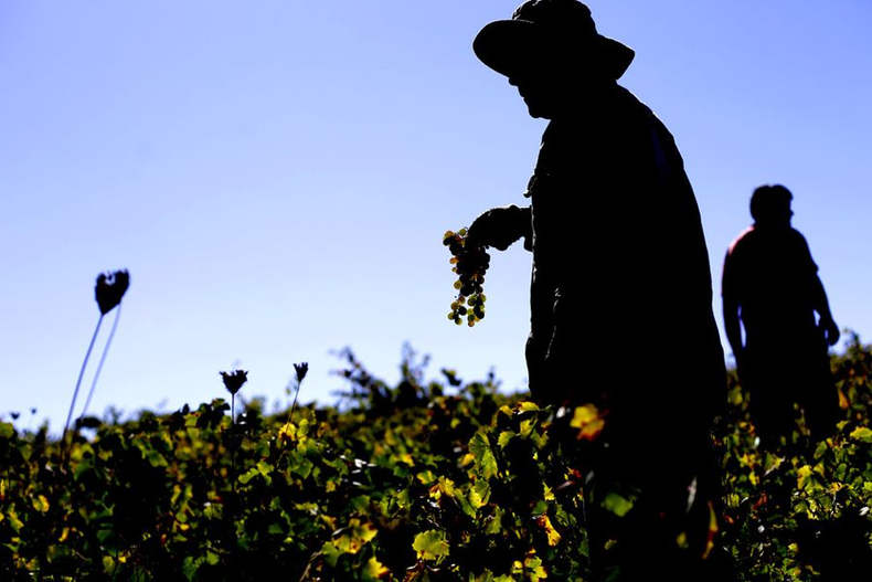 Acusan trabajo forzado en Chile.&nbsp;