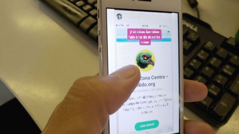 1551270309 1551205252 nido.jpg