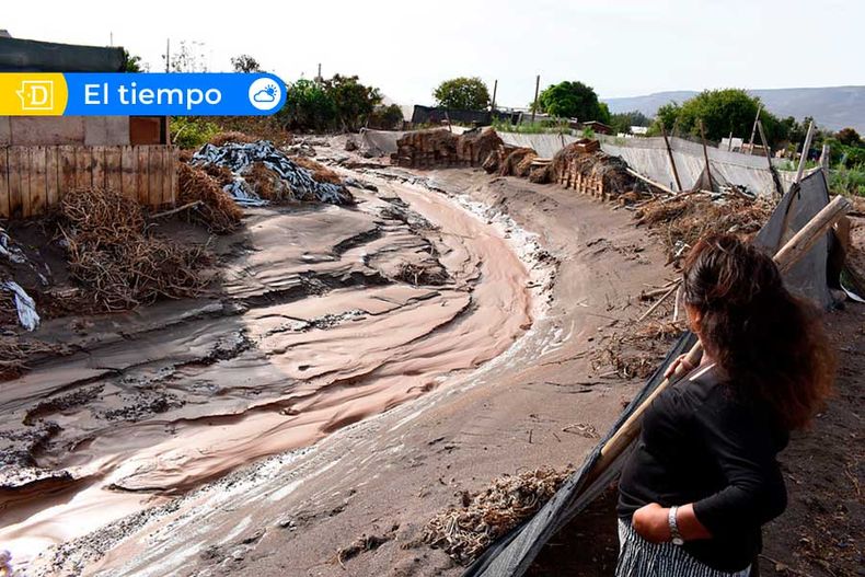 El Tiempo 15.jpg