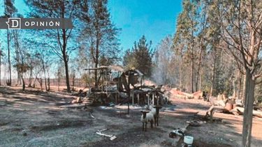 El Desconcierto | WhatsApp Image 2023 02 08 at 11.07.11.jpeg