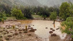 Lluvias y zanjas de infiltración.&nbsp;
