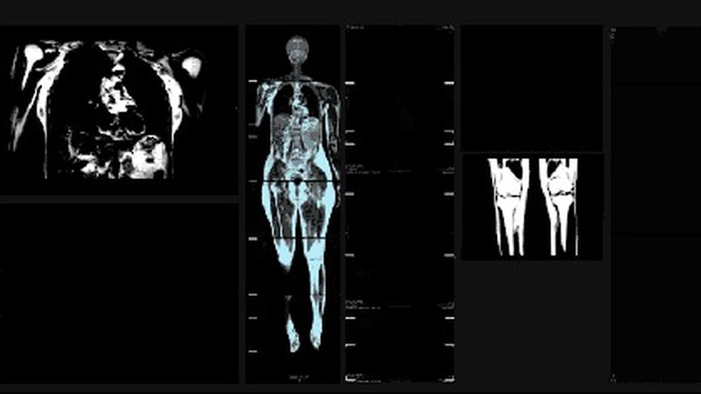 Cartografías de la Sangre: La exposición que confluye de la ciencia y el arte