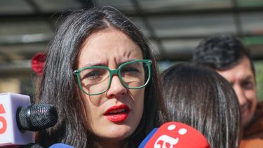 Vallejo y llamado de Chahuán a Plebiscitar al gobierno: Es una tesis engañosa