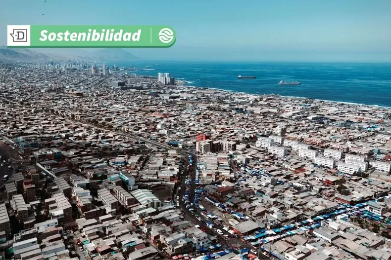 13528 diseno sin titulo 19.webp