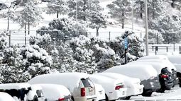Al menos 47 muertos y millones de personas sin electricidad por tormenta invernal en EE.UU.