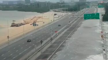 EN VIVO| Sigue el paso del Huracán Idalia que tocará tierra en Florida, Estados Unidos