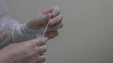 COVID-19 variante ‘Pirola’: Qué es y por qué está causando preocupación en expertos