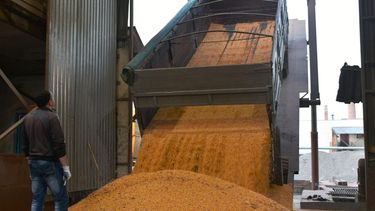 El Desconcierto | Unloading corn grains_FAO_24899_TL3JF 1440x720 min.jpeg