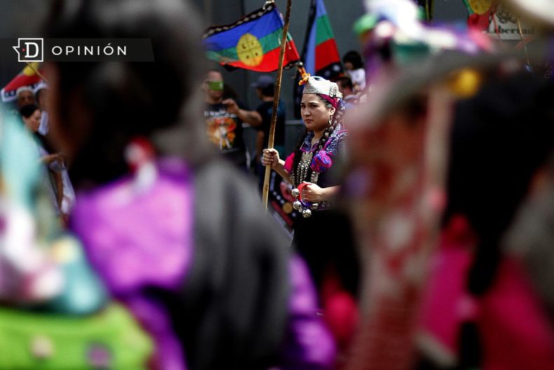 5681 imagen de marcha organizaciones mapuche.jpg