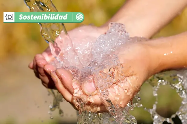 18375 diseno sin titulo 2025 07 01t094059.webp