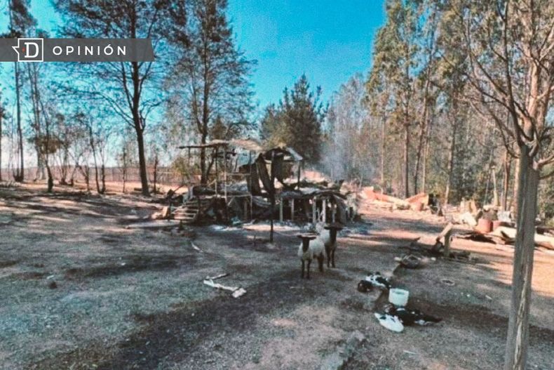 WhatsApp Image 2023 02 08 at 11.07.11.jpeg